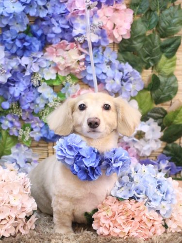 20250626テヤンくん